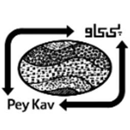لوگو مشاور پی کاو در 100